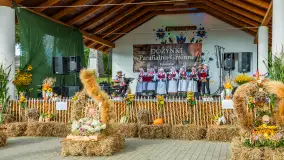 Dożynki Parafialno‑Gminne w Pozezdrzu, sierpień 20225 r. - zdjęcie 19