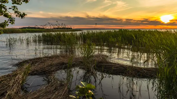 Zachód słońca nad jeziorem Śniardwy, Szeroki Ostrów, czerwiec 2025 r.