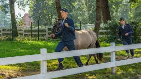 Fotorelacja - 70 lat konika polskiego w Popielnie – jubileuszowe spotkanie - zdjęcie 7