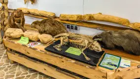 Fotorelacja - 70 lat konika polskiego w Popielnie – jubileuszowe spotkanie - zdjęcie 67