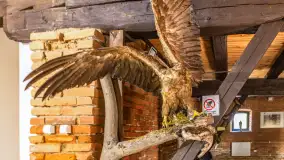 Fotorelacja - 70 lat konika polskiego w Popielnie – jubileuszowe spotkanie - zdjęcie 74