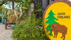 Fotorelacja z Dożynek w Kruklankach, wrzesień 2025 r. - zdjęcie 27