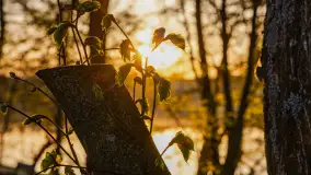 Wiosenne kadry o wschodzie słońca na Bełdanami, kwiecień 2025 r. - zdjęcie 27