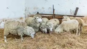 Fotorelacja z IV Redyku Mazurskiego, 04 października 2025 r. - zdjęcie 38