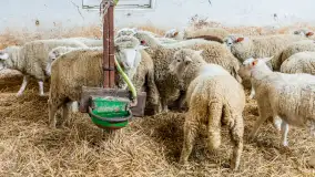 Fotorelacja z IV Redyku Mazurskiego, 04 października 2025 r. - zdjęcie 21