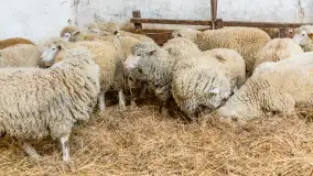 Fotorelacja z IV Redyku Mazurskiego, 04 października 2025 r. - zdjęcie 46