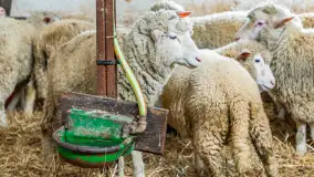 Fotorelacja z IV Redyku Mazurskiego, 04 października 2025 r. - zdjęcie 36