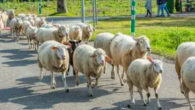 Fotorelacja z IV Redyku Mazurskiego, 04 października 2025 r. - zdjęcie 113