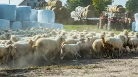 Fotorelacja z IV Redyku Mazurskiego, 04 października 2025 r. - zdjęcie 54