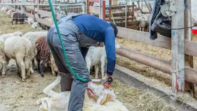 Fotorelacja z IV Redyku Mazurskiego, 04 października 2025 r. - zdjęcie 74