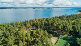 Jesienne Wilkasy z drona, październik 2025 r. - zdjęcie 20