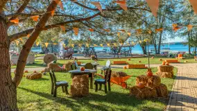 Dyniowy Port w Ogonkach, odkryj barwy jesieni na Mazurach - zdjęcie 16