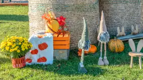 Dyniowy Port w Ogonkach, odkryj barwy jesieni na Mazurach - zdjęcie 21