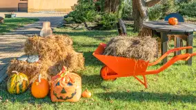 Dyniowy Port w Ogonkach, odkryj barwy jesieni na Mazurach - zdjęcie 35