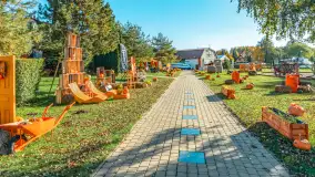 Dyniowy Port w Ogonkach, odkryj barwy jesieni na Mazurach - zdjęcie 37