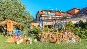 Dyniowy Port w Ogonkach, odkryj barwy jesieni na Mazurach - zdjęcie 26