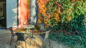 Jesienna wersja Ognistego Ptaka w Ogonkach, październik 2025 r. - zdjęcie 34