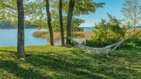 Jesienna wersja Ognistego Ptaka w Ogonkach, październik 2025 r. - zdjęcie 3