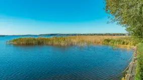 Jesienna wersja Ognistego Ptaka w Ogonkach, październik 2025 r. - zdjęcie 17