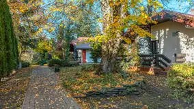 Jesienna wersja Ognistego Ptaka w Ogonkach, październik 2025 r. - zdjęcie 31