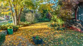 Jesienna wersja Ognistego Ptaka w Ogonkach, październik 2025 r. - zdjęcie 13