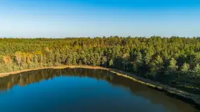 Jezioro Wesołek i puszcza Piska z drona, jesień 2025 r. - zdjęcie 5