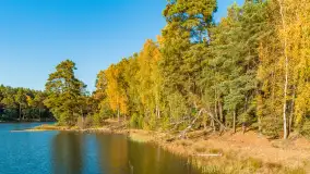 Jezioro Wesołek i puszcza Piska z drona, jesień 2025 r. - zdjęcie 7