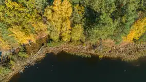 Jezioro Wesołek i puszcza Piska z drona, jesień 2025 r. - zdjęcie 4