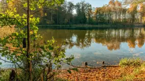 Jesień w Rezerwacie Przyrody Krutynia, październik 2025 r. - zdjęcie 27