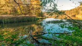 Jesień w Rezerwacie Przyrody Krutynia, październik 2025 r. - zdjęcie 12