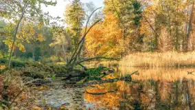 Jesień w Rezerwacie Przyrody Krutynia, październik 2025 r. - zdjęcie 43