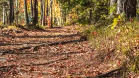 Mazurska jesień nad jeziorem Wesołek, październik 2025 r. - zdjęcie 43