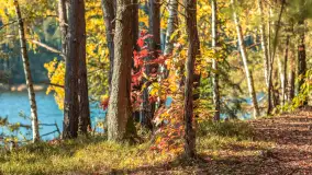 Mazurska jesień nad jeziorem Wesołek, październik 2025 r. - zdjęcie 2