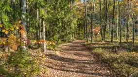 Mazurska jesień nad jeziorem Wesołek, październik 2025 r. - zdjęcie 6