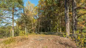 Mazurska jesień nad jeziorem Wesołek, październik 2025 r. - zdjęcie 32