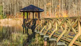 Spacer po Lesie Miejskim w Giżycku, listopad 2025 r. - zdjęcie 37