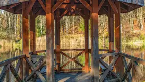 Spacer po Lesie Miejskim w Giżycku, listopad 2025 r. - zdjęcie 43