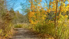 Spacer po Lesie Miejskim w Giżycku, listopad 2025 r. - zdjęcie 50