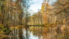 Spacer po Lesie Miejskim w Giżycku, listopad 2025 r. - zdjęcie 57