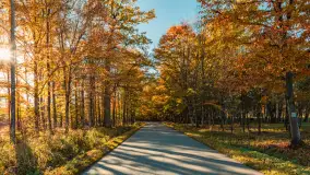 Jesień w Rezerwacie Przyrody Sztynort, październik 2025 r. - zdjęcie 13