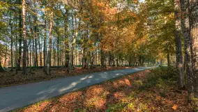 Jesień w Rezerwacie Przyrody Sztynort, październik 2025 r. - zdjęcie 37