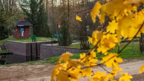 Końcówka mazurskiej, złotej jesieni, listopad 2025 r. - zdjęcie 20