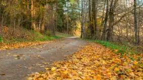 Końcówka mazurskiej, złotej jesieni, listopad 2025 r. - zdjęcie 8