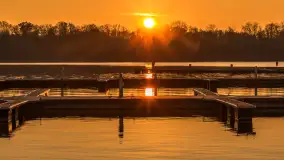 Zachód słońca, końcówka kolorów jesieni w Sztynorcie, listopad 2025 r. - zdjęcie 12