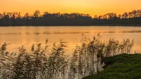 Zachód słońca, końcówka kolorów jesieni w Sztynorcie, listopad 2025 r. - zdjęcie 48