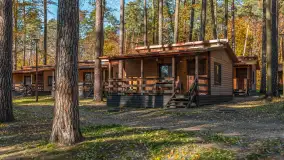 Jesień nad jeziorem Nidzkim, port i ośrodek Wodnik, Ruciane-Nida, październik 2025 r. - zdjęcie 33