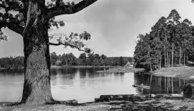 Wkrótce ożywimy AI pocztówki z Rucianego Nidy / Niedersee, wracamy do przeszłości - zdjęcie 14