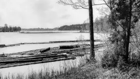 Wkrótce ożywimy AI pocztówki z Rucianego Nidy / Niedersee, wracamy do przeszłości - zdjęcie 69