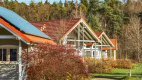 Końcówka jesieni w Pięknym Brzegu, nad jeziorem Święcajty, listopad 2025 r. - zdjęcie 22