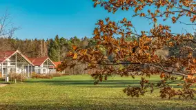 Końcówka jesieni w Pięknym Brzegu, nad jeziorem Święcajty, listopad 2025 r. - zdjęcie 5